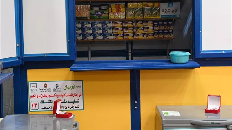 تسليم 265 كشك للأرامل والمطلقات وأصحاب الهمم بالشرقية
