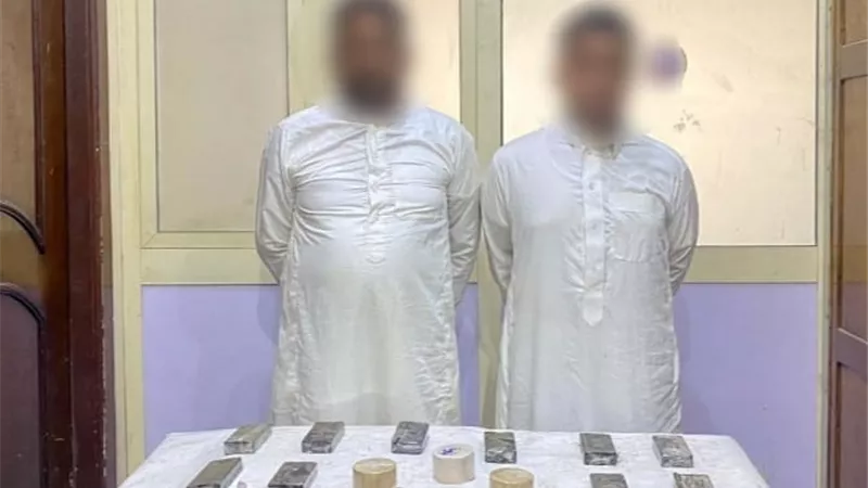 الداخلية تضبط العناصر الإجرامية في الإسكندرية