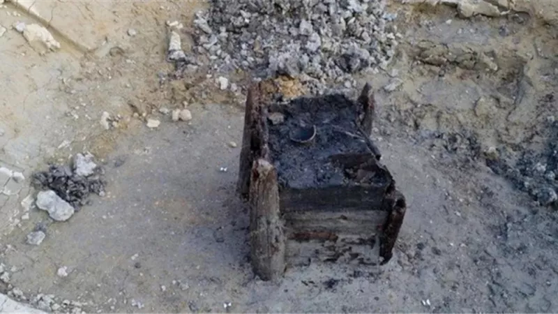 العثور على هيكل خشبي ويبلغ عمره نحو نصف مليون سنة