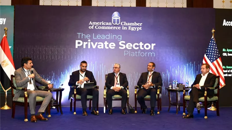 رئيس الصندوق السيادي:مصر تقود الاستثمار في الطاقةالشمسيةفي العالم