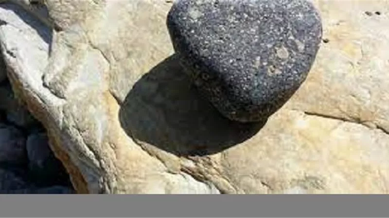 اشياء استعاذ منها النبى ﷺ احداها قسوة القلب