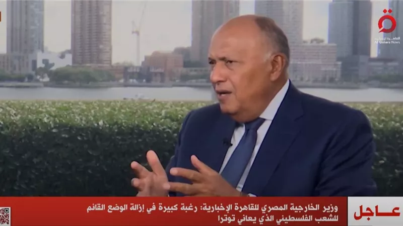 سامح شكري: مساع حثيثة لإعادة القضية الفلسطينية إلى الساحة الدولية