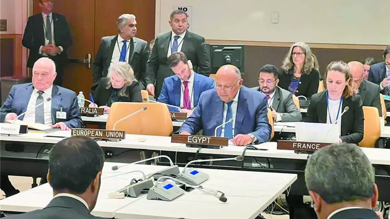 مصر ترحب بالتعاون مع باكستان فى مكافحة الإرهاب والفكر المتطرف