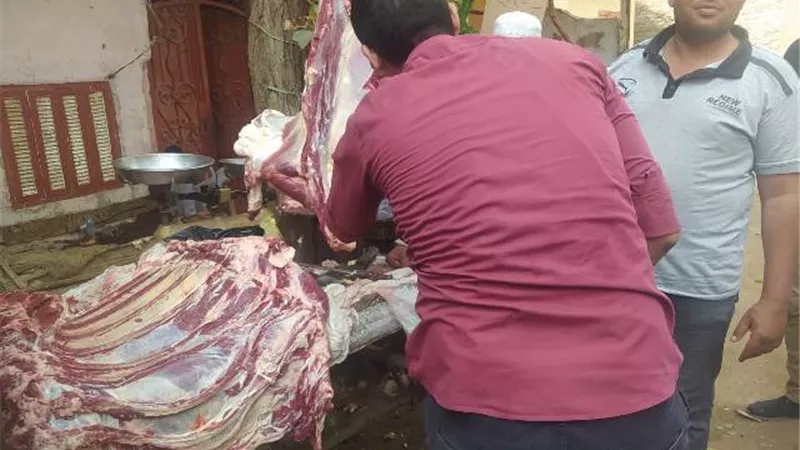 محافظ أسيوط: حرير 42 محضرًا خلال حملات بالغنايم والقوصية وديروط