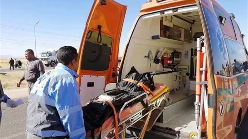 وفاة طفل فى حادث تصادم بمستشفى العريش العام