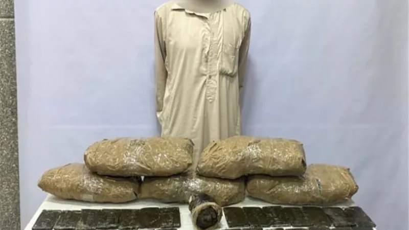 القبض على عنصر إجرامى بحوزته حشيش وهيدرو بمليون جنية فى الشرقية