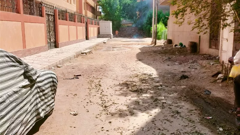 حملة نظافة موسعة للقضاء على الحشرات والروائح الكريهة جنوب الاقصر