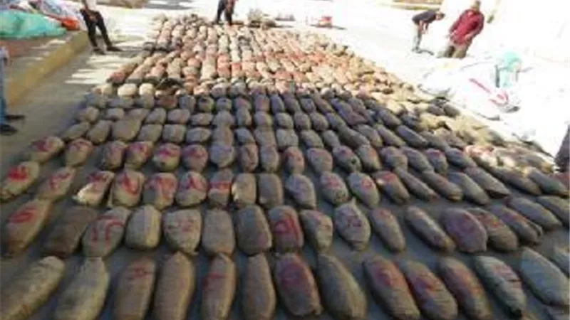 ضبط عاطل بحوزته 7 فرد محلى وذخائر و12 كيلو بانجو ببنى سويف