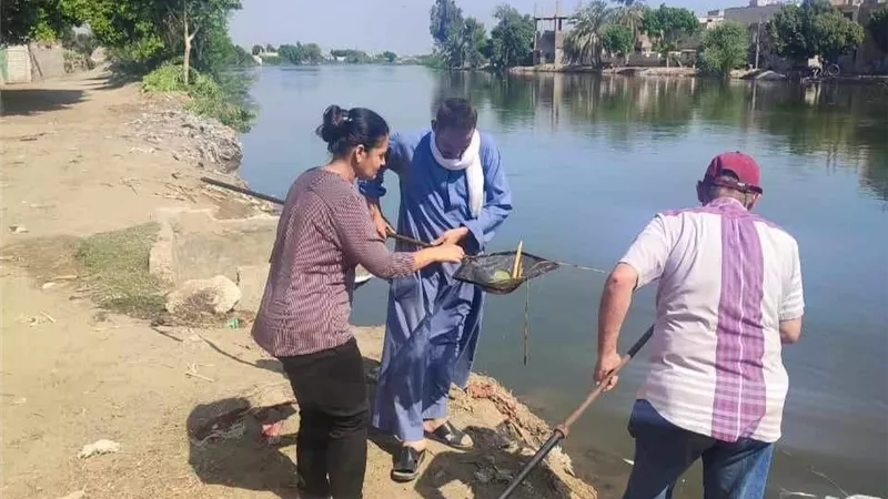 صحة المنيا: حملات مكثفة لمكافحة ناقلات ومسببات الأمراض المتوطنة