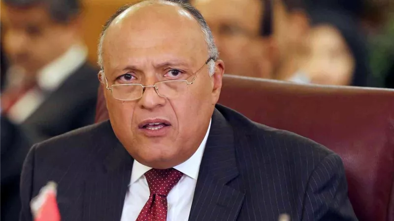 وزير الخارجية يؤكد ضرورة الإسراع في إصلاح 