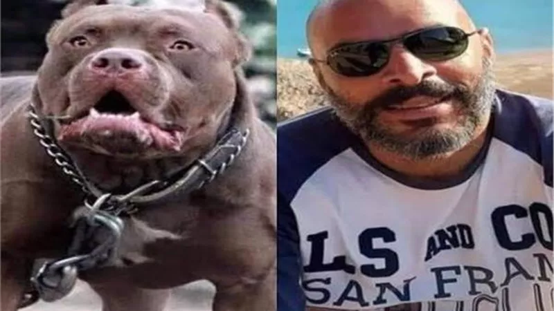 تأجيل محاكمة زوج مذيعة شهيرة فى واقعة مصرع مدير بنك لـ30 سبتمبر