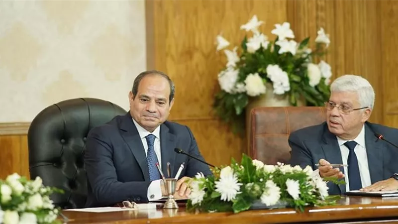 السيسي يؤكد أهمية التوازن بين تخصصات التعليم واحتياجات سوق العمل