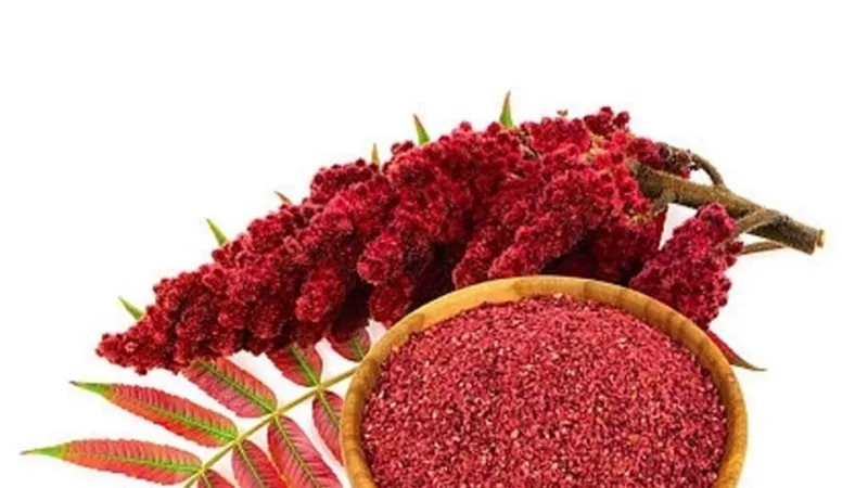 أبرز فوائد السماق.. التخلص من الشيب المبكر