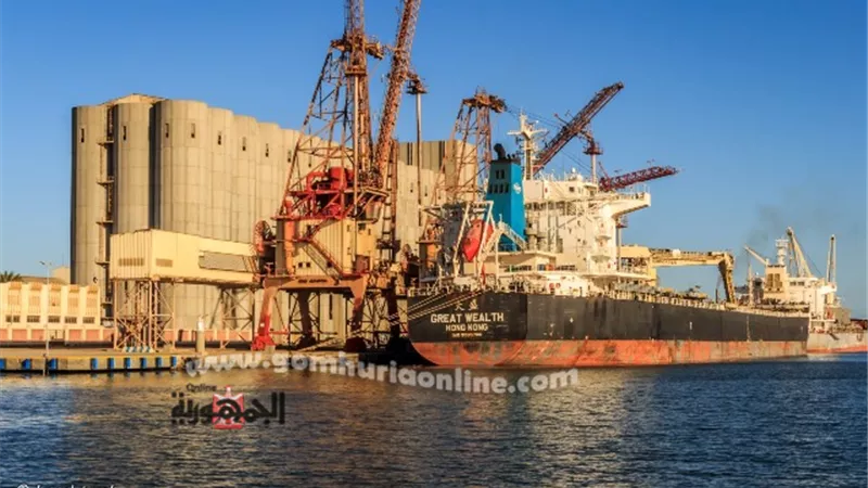 ٧٢ ألف طن بضائع وتصدير ٨٣٩ حاوية خضار وفاكهة من ميناء دمياط