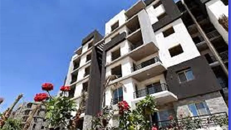 د.عطية لاشين: تعلية العمارة بأدوار غير مصرح بها تُورث الاثم