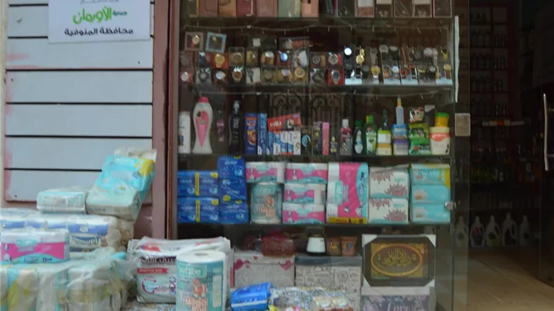 محافظ كفرالشيخ :توزيع مساعدات مالية لتنمية المشروعات الصغيرة