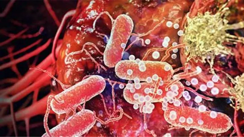 اكتشاف علاج جديد لمرض السرطان باستخدام 