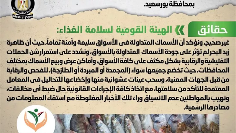 الحكومة توضح حقيقة تداول أسماك نافقة بالأسواق