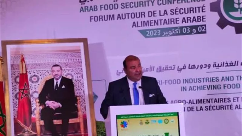 حنفى: ضرورة انشاء بورصة عربية سلعيّة وصندوق عربي للازمات