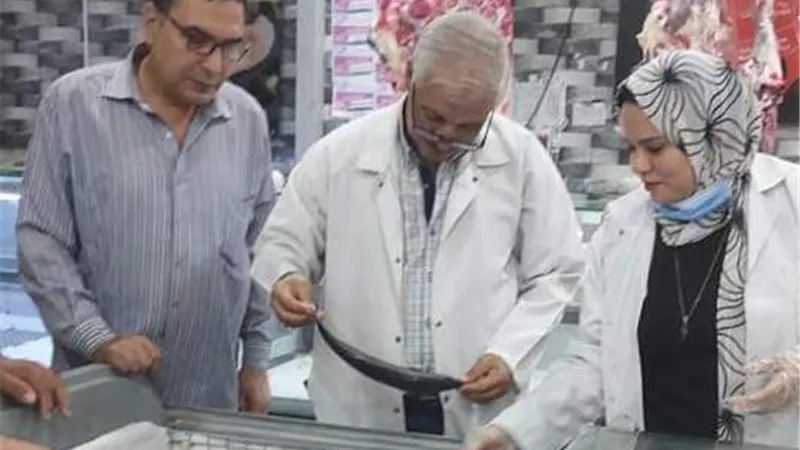 ضبط ٨٧٥ كجم لحوم وأسماك مخالفة وتحرير ٦محاضر بالشرقية