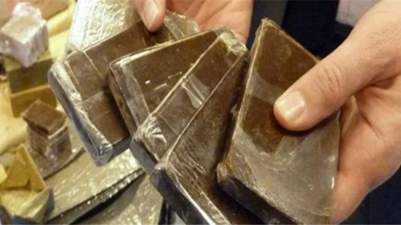 استغل سيارة زوجته لتجارة الحشيش وضبط بحوزته 10 كيلو