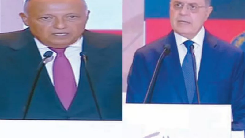 السياسة الخارجية.. تخدم المواطن المصري