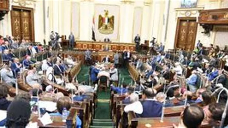 النواب تناقش علاوة غلاء المعيشة الاستثنائية..اليوم
