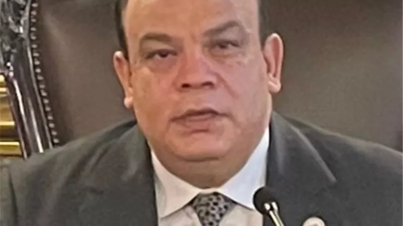 السيرة الذاتية للمستشارحازم بدوي الرئيس الجديد للوطنية للانتخابات