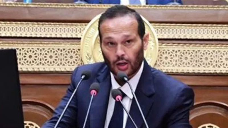 محمد حلاوة رئيسًا للجنة الصناعة بمجلس الشيوخ