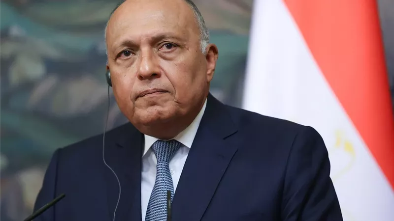 وزير الخارجية يتلقى اتصالاً هاتفياً من مفوض الاتحاد الأوروبي