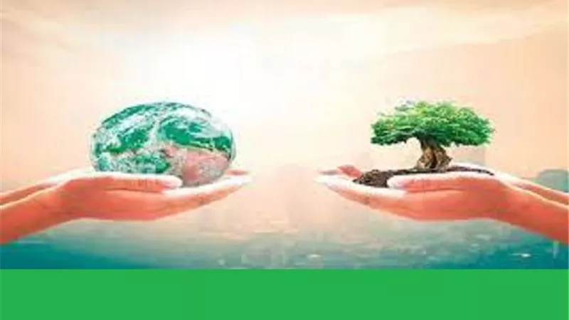 د,عطية لاشين :الأمن والأمان محط اهتمام رسالة الإسلام