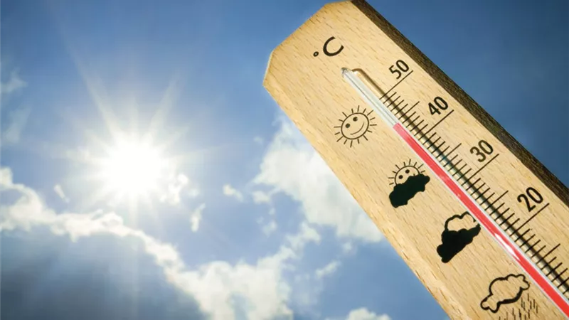 الأرصاد: طقس الغد مائل للحرارة نهارا لطيف ليلا على معظم الأنحاء
