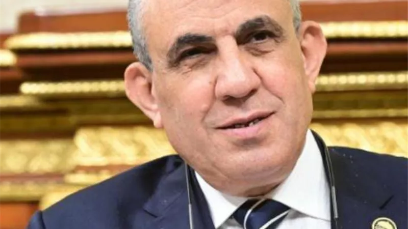 عبد الفضيل: رد النواب على ادعاءات البرلمان الأوروبى رسالة واضحة