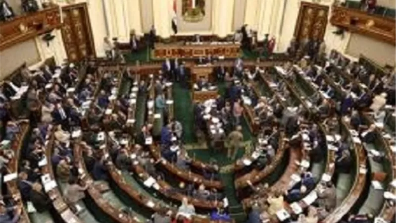 مصر ترفض الوصاية