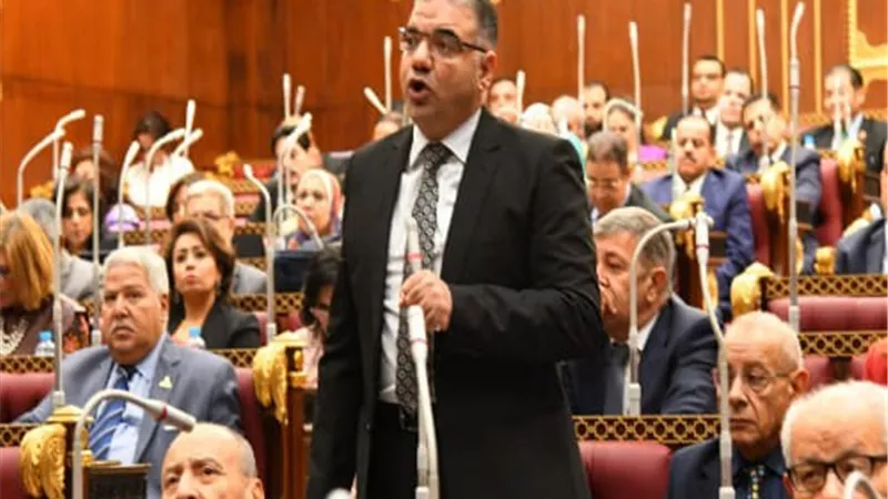 النائب سيد حجازي :مصر لا تقبل الوصاية والتدخل في شئونها