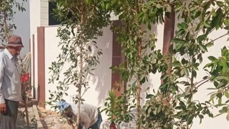 البيئة تبدأ بأعمال تشجير الكيلو الأول بشق الثعبان بمحافظة القاهرة