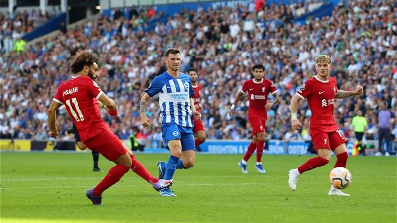 ليفربول يسقط في فخ التعادل أمام برايتون بهدف قاتل.. فيديو