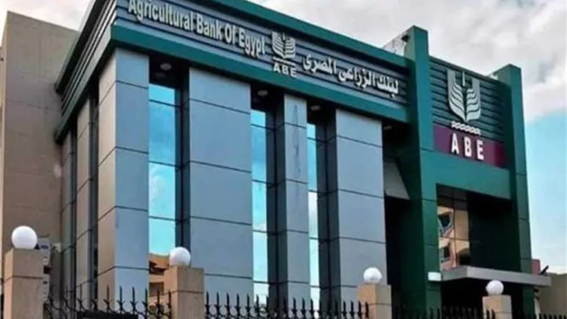 يصل 15 ألف جنيه.. تفاصيل قرض مبادرة باب رزق من البنك الزراعي المصري