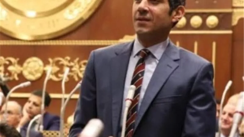 أيمن حامد: تعليق الرسوم والجمارك على مستلزمات الإنتاج قرار جرىء