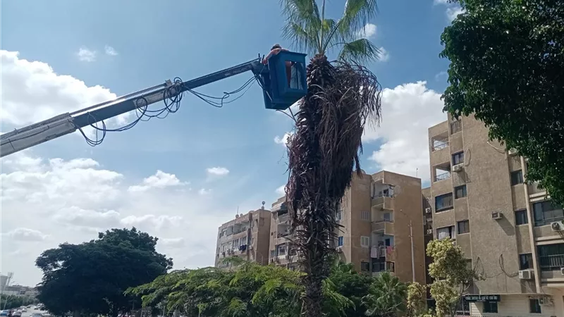 صيانة المسطحات الخضراء وإصلاح كسر ماسورة مياه بالاسماعيلية