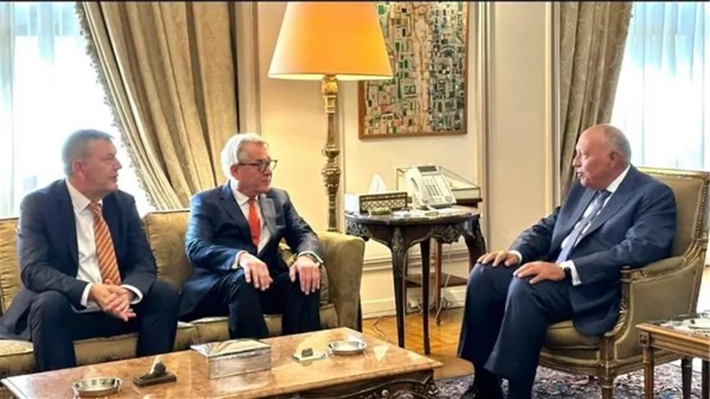 شكري: الوضع الإنساني في غزة خطير ويجب أن تتكاتف الجهود من أجل وقف الحرب