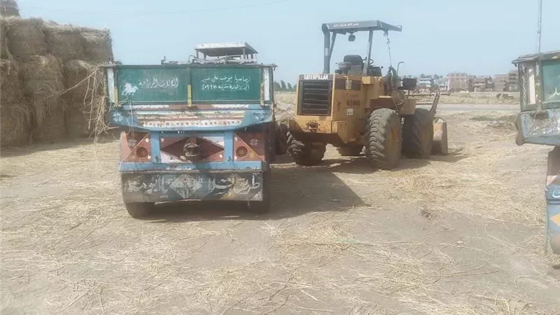 محافظ الشرقية: انتظام حصاد محصول الأرز بـ 154679 فدانا