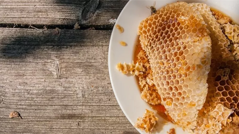 12 فائدة لشمع العسل..تعرف عليها