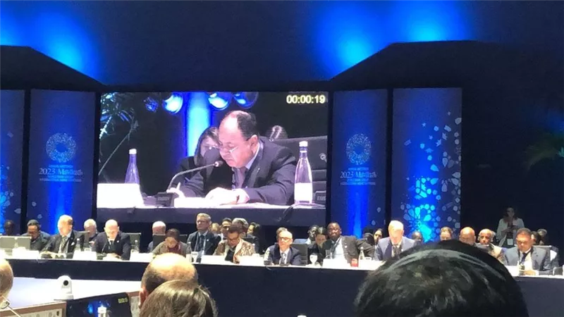 معيط: إصدار سندات «الباندا»لتعزيز المسار المصري للتنمية الخضراء