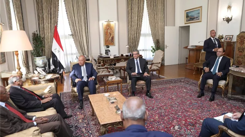 شكرى يبحث التعاون مع وزير خارجية إريتريا