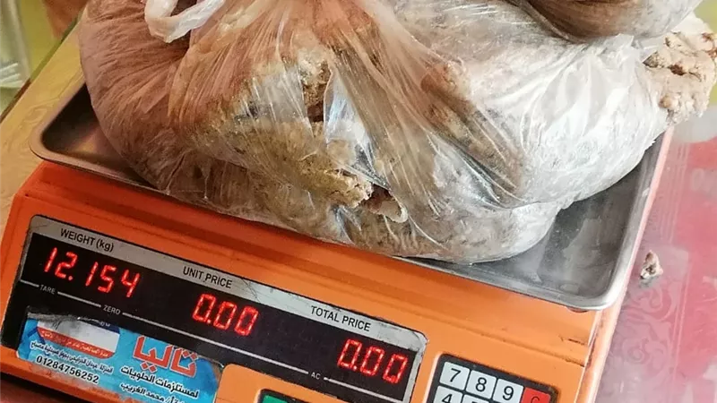 احالة 139 محضرا بالمخالفات التموينية للنيابة العامة بالدقهلية