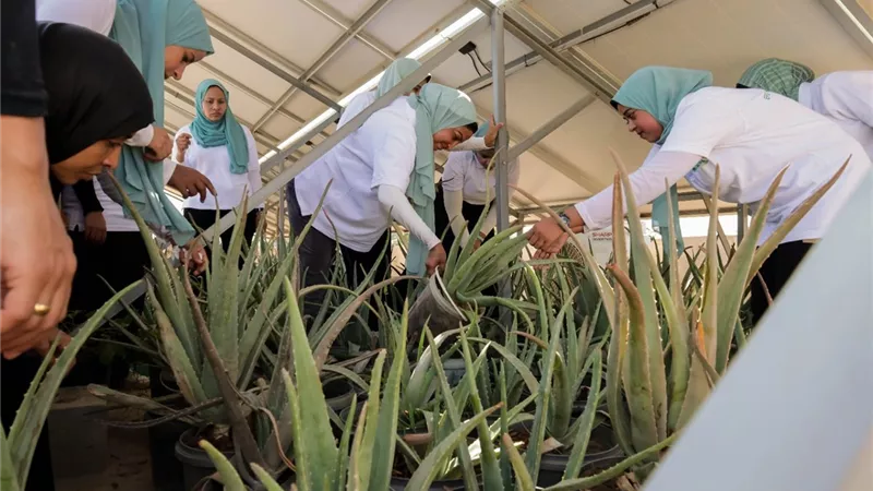 البصمة الخضراء بالأقصر تتأهل للمنافسةعلى المشاركة في
