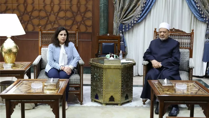 الإمام الأكبر يعلن استعداد الأزهر لزيادة المنح الدراسية لبنين