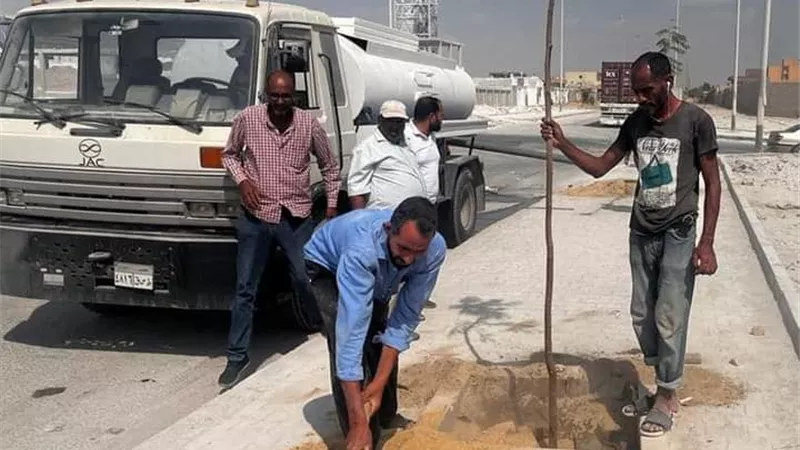 زراعة العديد من الأشجار بالمنطقة الصناعية بعتاقة