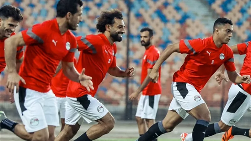 توقعات محمد فضل وطارق السيد لمجموعة مصر في أمم إفريقيا 2023